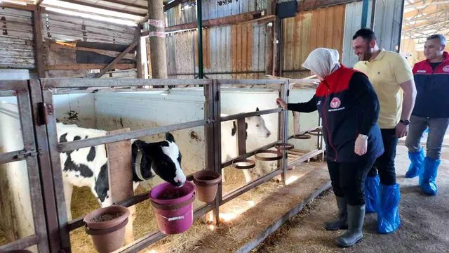 Düzce'de Hayvancılıkta Kalite Tescillendi: Gölyaka'da Yeni Bir Ari İşletme Sertifikasını Aldı