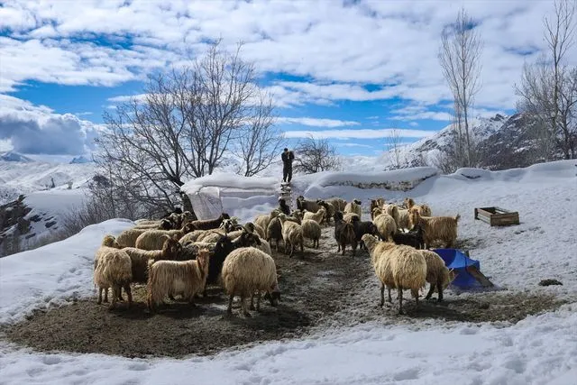 Hakkari'nin bir tarafında bahar diğer tarafında kış yaşanıyor