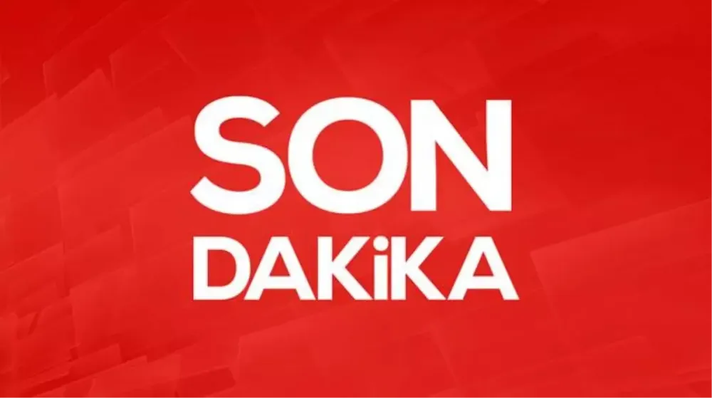 Milliyetçi Hareket Partisi'nde Yeni Başkan Yardımcısı