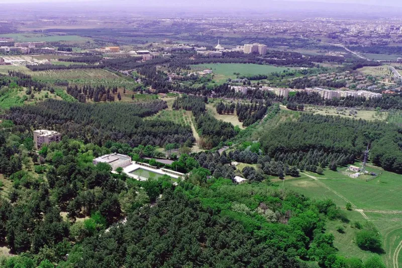 Dicle Üniversitesi