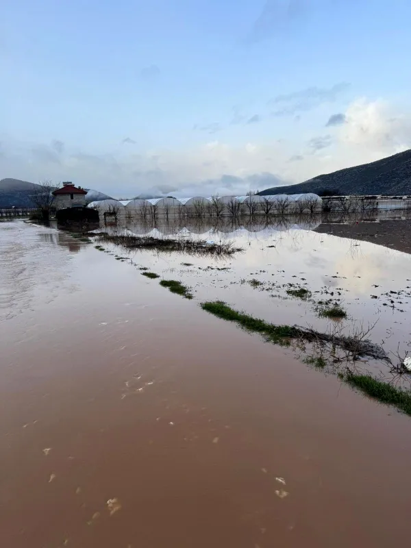 Elmalı'da Sel Felaketi: Taşan Dereler Tarım Arazilerini ve Seraları Yuttu