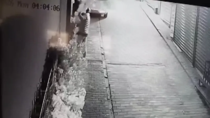 Motosiklet kasklı hırsız, iş yerinden süs ağacı çaldı