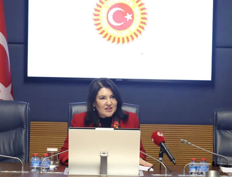 TBMM Finansal Okuryazarlığın Yaygınlaştırılması Alt Komisyonu toplandı (2)-