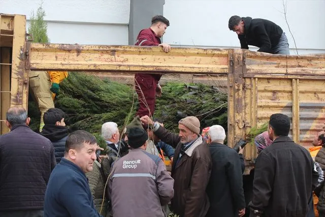 Samsun'un Bafra İlçesinde 'Dünya Ormancılık Günü' Coşkusu: 23 Bin 900 Fidan Vatandaşlarla Buluştu