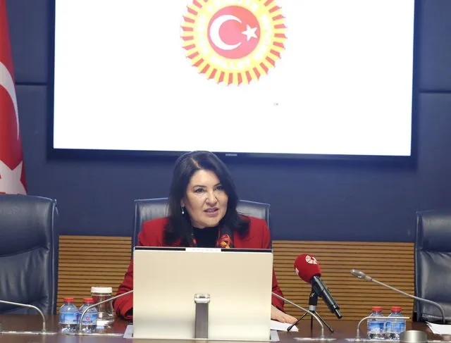 TBMM Finansal Okuryazarlığın Yaygınlaştırılması Alt Komisyonu toplandı (2)-